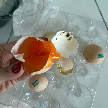 Küflü Ve Bozuk Yumurtalar İçin Tam İade Ve Kalite Kontrolü Talebi