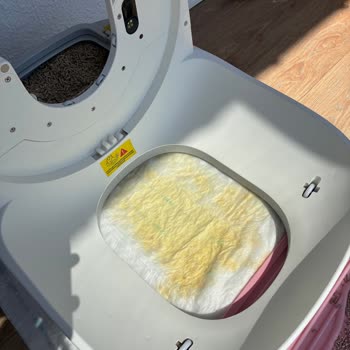 Xenon Akıllı Kedi Tuvaletinde Çiş Sızıntısı Ve Koku Sorunu