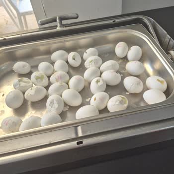 Hijyen, Yemek Ve Personel İlgisizliğiyle Kabusa Dönüştü Konaklama