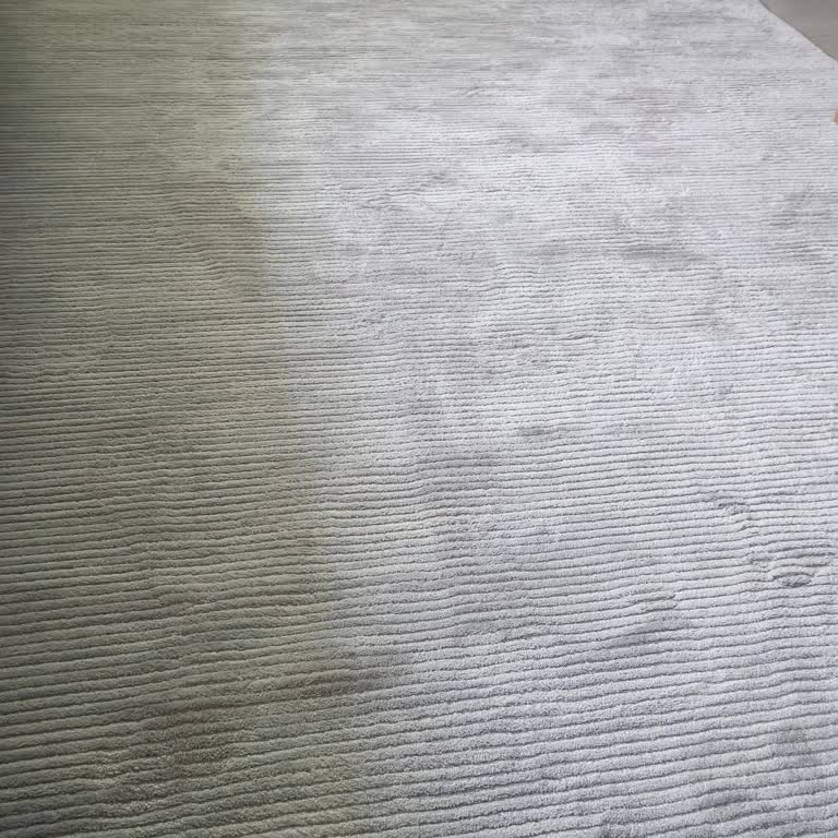 Belgesiz Şişirilmiş 5.500 TL Halı Yıkama Ücreti