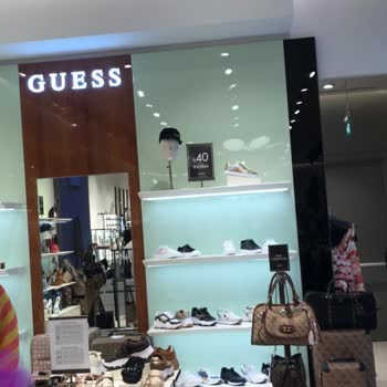 Guess Mağazasında Serbest Dolaşan Kedi Çocuğumu Tırmaladı Ve Tatilimi Mahvetti