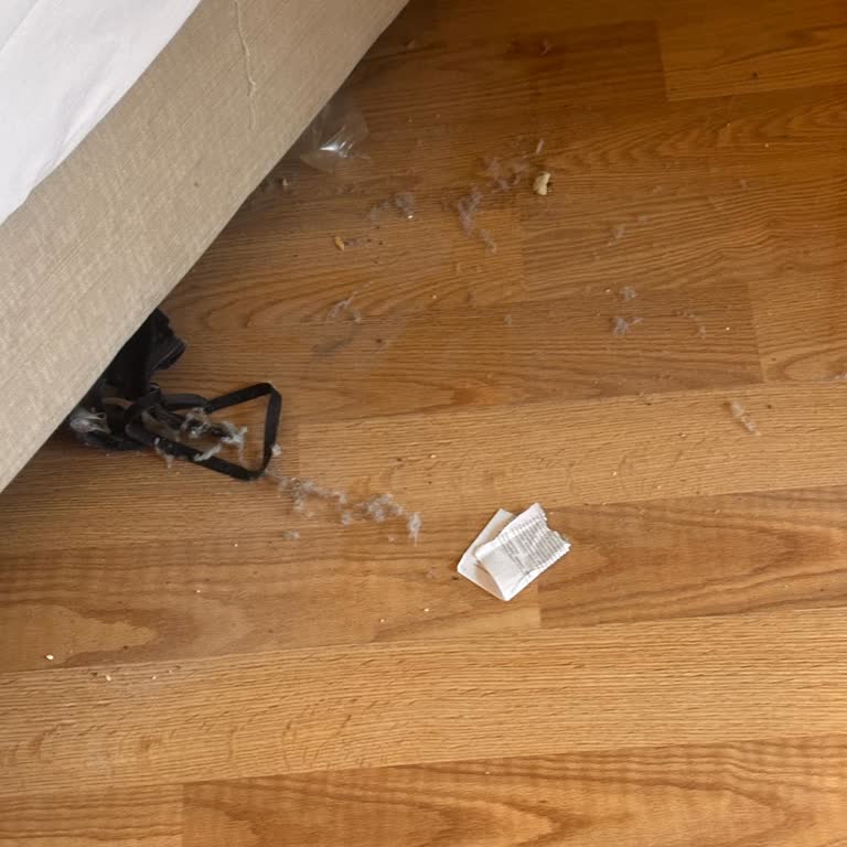 Garden Park Beldibi Hotel Odaya Girdiğimizde Oda Son Derece Kirliydi