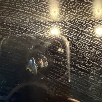 Bosch Cam Ocağının Erimesi Kullanıcı Hatası Olarak İddia Edildi, Ücret Teklifi Aşırı
