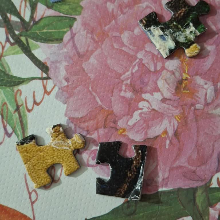 Kaplumbağa Terbiyecisi Puzzle’da Kalite Sorunu Ve Değişim Talebi