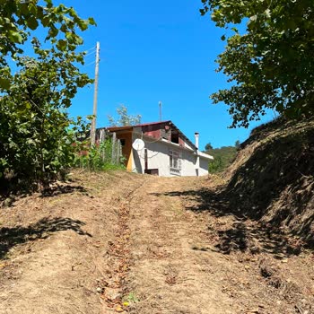 Samsun Büyükşehir Belediyesi Ayvacık Koç Yurdu Sokak Şikayeti