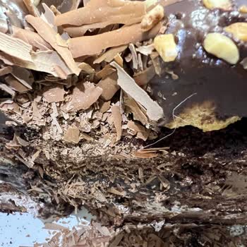Doğum Günü Pastası Kuru, Sert Ve Ekşi Kremalı