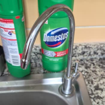 Domestos Ürünü Tişörtleri Ve Tuvaleti Kırmızıya Boyadı