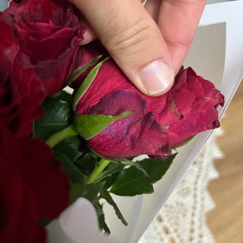 Çiçek Sepeti Çürük Ve Kırık Güllerle Özensiz Buket Teslimatı