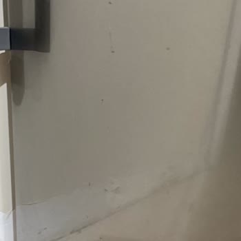 Bosch Buzdolabında Alt Kapak Yüzeyinde Hızla Artan Paslanma Benzeri Lekeler