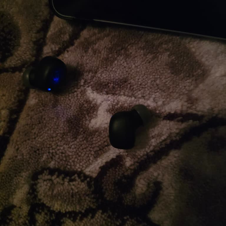 Lost JBL Wave Buds 2 Charging Case