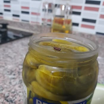 Kavanozda Yabancı Cisim Bulunması Hijyen Endişesi