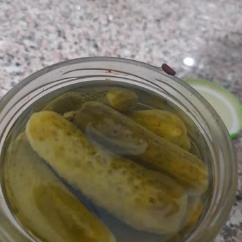 Kavanozda Yabancı Cisim Bulunması Hijyen Endişesi