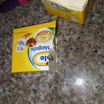 Margarinde Ölü Sinek Keşfi Hijyen Endişesi