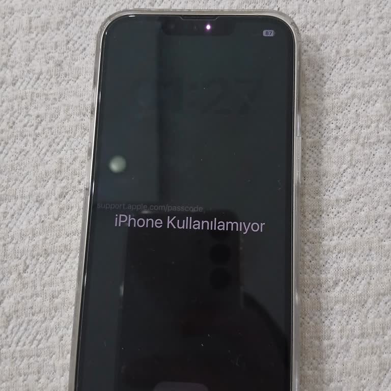 Face ID Arızası Ve Kilitlenme Nedeniyle Verilerimin Silinme Tehdidi