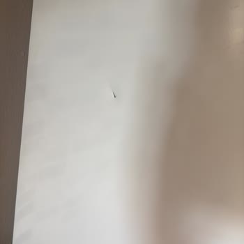Fiyat Artışı, Hasarlı Teslimat Ve Saygısız Davranış Şikayeti