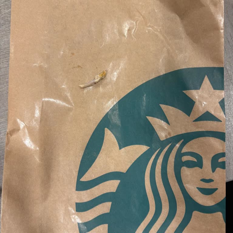 Starbucks Tavuklu Wrap'ta Kemik Çıktı: Hijyen Ve Güvenlik Endişesi, Ücret İadesi Talebi