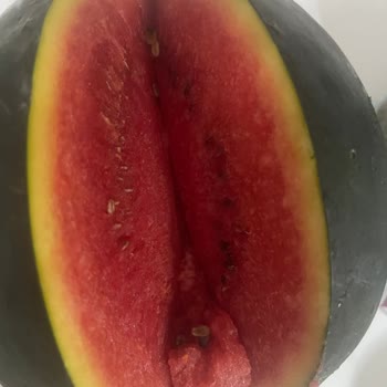 Kuşbaşı Et Eksik, Ananas Dilimsiz Ve Karpuz Bozuk Gönderildi; Müşteri Hizmetlerinden Cevap Gelmedi