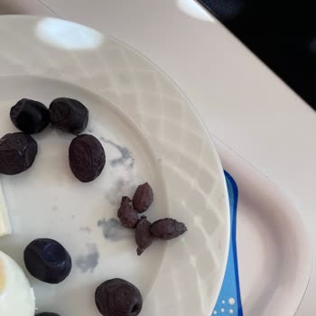 MarmaraBirlik Az Tuzlu Doğal Salamura Zeytininde Renk Bozukluğu Ve Kimyasal Tat