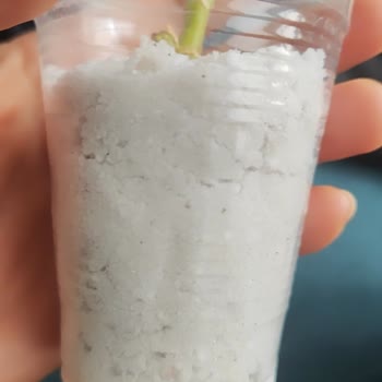 Hepsiburada’da Toza Dönmüş Perlit Ve İade Seçeneğinin Kapatılması