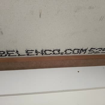 Belenco Mutfak Tezgahındaki Çatlaklar Ve Su Sızıntısı İçin Şikayet Ve Çözüm Talebi
