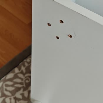 Orta Sehpanın Ayıplı Olması Ve Ücretsiz Yenisiyle Değiştirilmesi Talebi