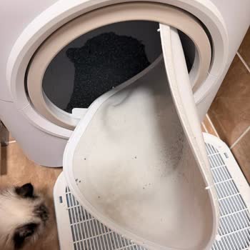 Xenon Smart Kedi Tuvaletinde Tekrarlayan Ped Sızıntısı Ve Ayıplı Ürün Şikayeti