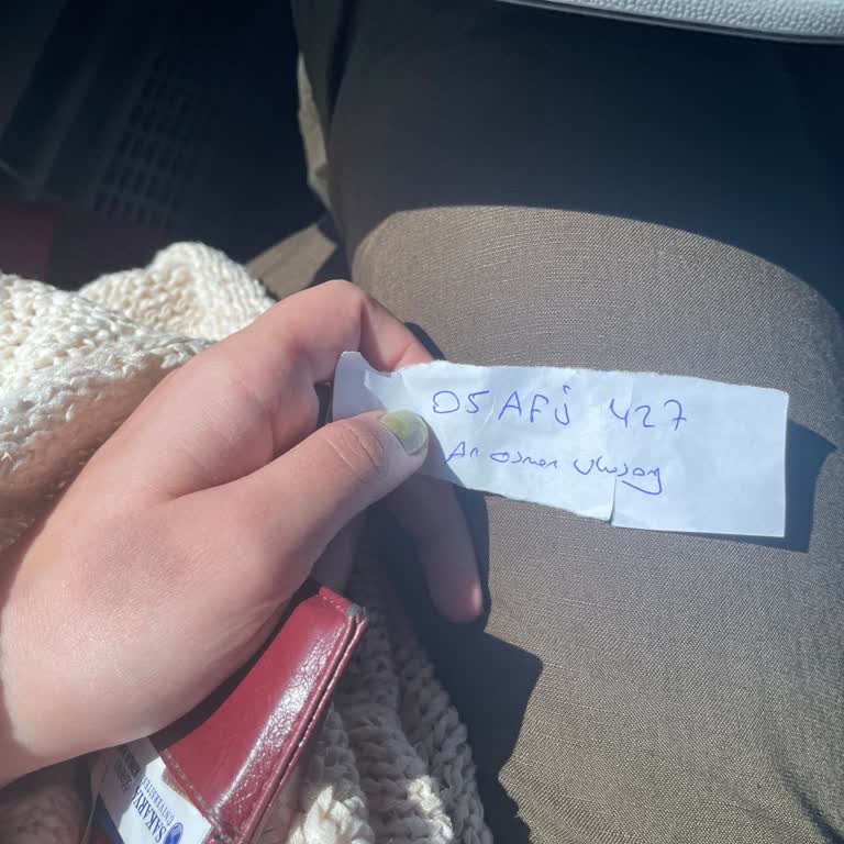 Muavinin Yolcu Sayımını İhmal Etmesi Ve Kaptanların Saygısız Tavırları Tatili Mahvetti