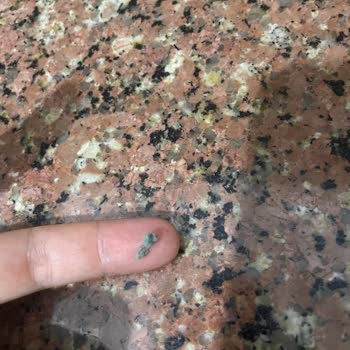 Kıymada Silikon Benzeri Yabancı Madde Tespiti Ve Gıda Güvenliği İhlali