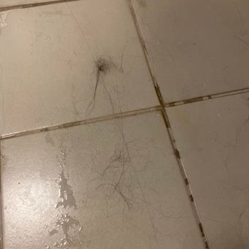 Kadın Duş Alanlarındaki Hijyen Eksikliği Ve Bakım Sorunları