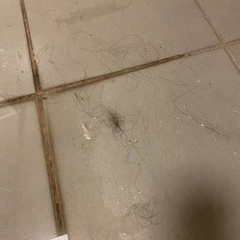 Kadın Duş Alanlarındaki Hijyen Eksikliği Ve Bakım Sorunları