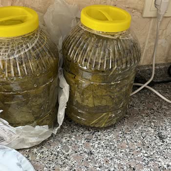 Fatma’nın Bahçesi’nden Aldığım Salamura Yaprakları Görsellerle Uyuşmadı Ve İade Reddedildi