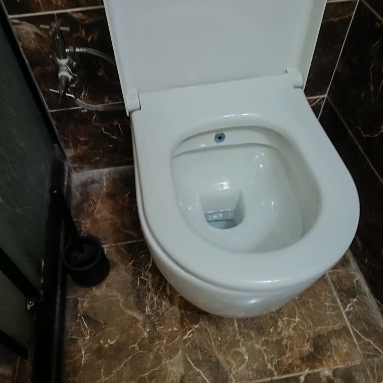 Vitra Klozet Kapağındaki Kayma Sorunu İçin Altı Servis Ziyareti Sonrası Çözüm Bekleniyor