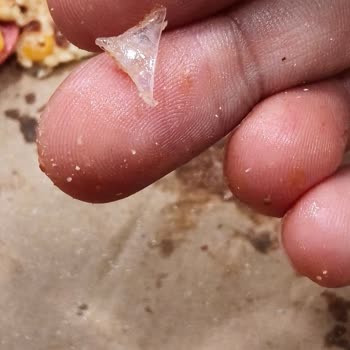 Domino's Pizza’da Şeffaf Plastik Parça Bulunması Sağlık Endişesine Yol Açtı