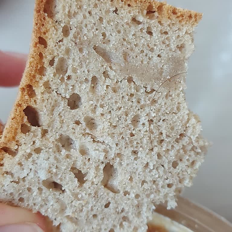 Ridada Karabuğday Ekmeğinde Kıl Bulunması Hijyen Ve Gıda Güvenliği Sorunu