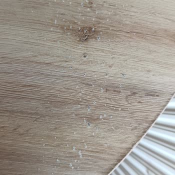 Masa Kenarındaki Kabarcıklar Ve Garanti Talebi