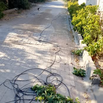 52 Gün Çözülmeyen İnternet Arızası Ve İade Talebi