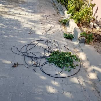 52 Gün Çözülmeyen İnternet Arızası Ve İade Talebi