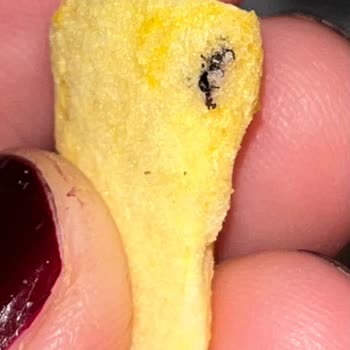 Dondurulmuş Mango Ürününde Yabancı Madde Ve Böcek Tespiti