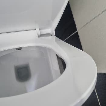 Ayıplı Klozet Ve Cevapsız Koçtaş Servisi: İade Ve Değişim Talebi