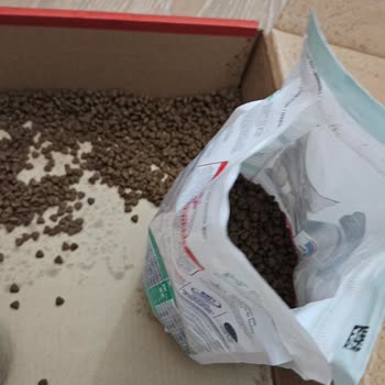 Patlamış Kedi Maması Paketi Ve Yanıltıcı Kurye Davranışı