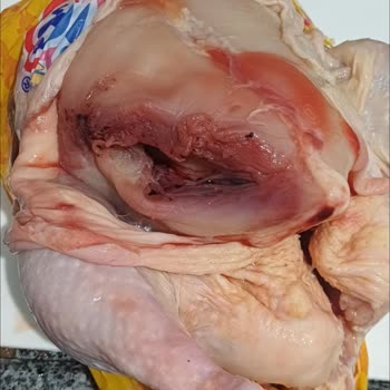 Erpiliç Piliç Ürünlerinde Kararma Ve Safra Patlaması Şikayeti