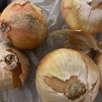 Çürük Muz Ve Soğan, Son Kullanma Tarihi Yaklaşmış Mantarlar Teslim Edildi