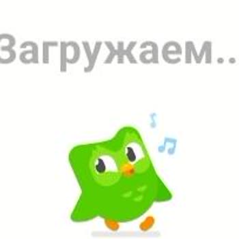 Не Работает Приложение И Сайт Duolingo: прохожу курс корейского языка