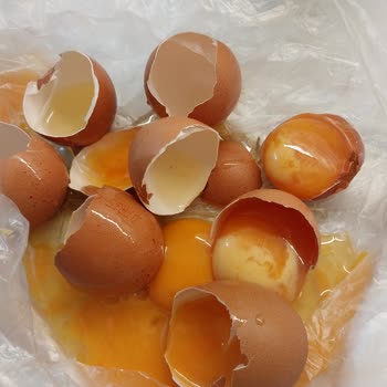 Bozuk Yumurta Teslimatı Nedeniyle Sağlık Riski Ve İade Talebi