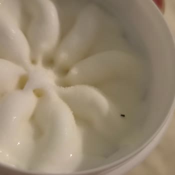Migros Dondurmasında Karınca Bulunması Hijyen İhlali