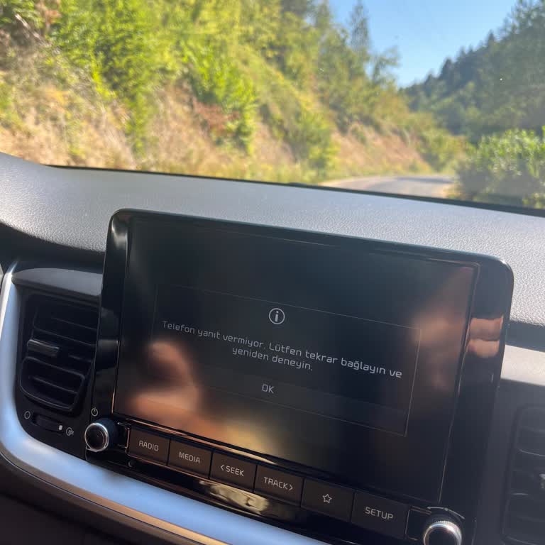 Kia Stonic’ta Apple CarPlay Bağlantısının Sürekli Kesilmesi Ve Çözüm Talebi
