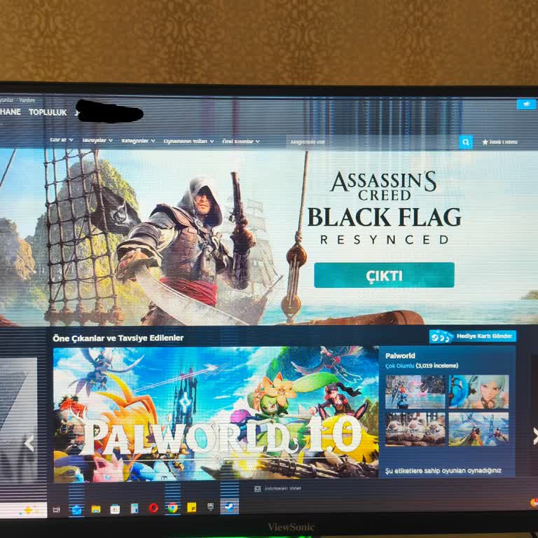 ViewSonic Premium Warranty Delay Leaves Customer Waiting for Replacement Monitor