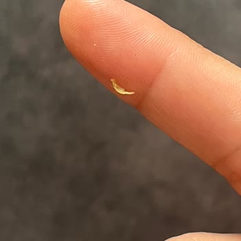 İndomie Noodle’da Tırnak Parçası Bulunması Ve Hijyen İhlali