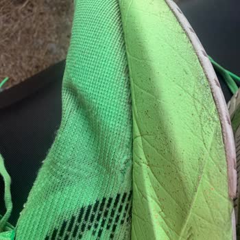 Asics Novablast 5 Açıldı Garanti Kapsamında Onarım Veya Değişim Talebi