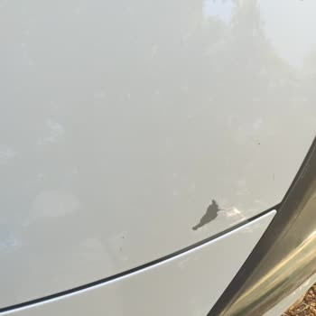 Opel Astra K Kaput Ve Tavan Boya Soyulması Garanti İsteği